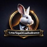 Coelho Branco🐰✨