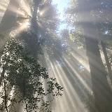 some sunny day