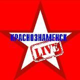 Краснознаменск LIVE новости