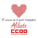 CCOO PROCESOS SELECTIVOS AYUNTAMIENTO DE ELCHE