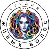 🎯 Студия Живых волос_лаборатория индивидуальности