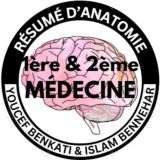 ✨Youcef & Islam's résumés✨