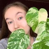plants.sg