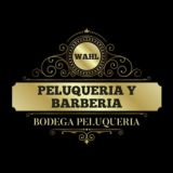 13. PELUQUERIA Y BARBERIA