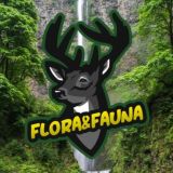 Flora🌿& Fauna🦘