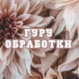 Гуру обработки🎭