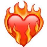 Проекты в продаже🔥