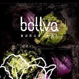 Bottva