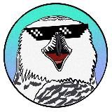 Биполярная сова 🦉 | Мемы и Юмор