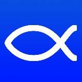 OrthoApp