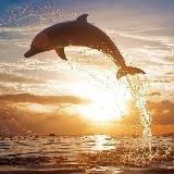 Природа