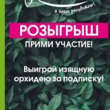 Розыгрыш!26