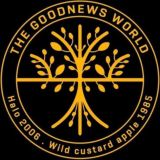GoodNewsWorld Updates