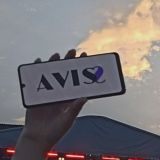 AVIS family