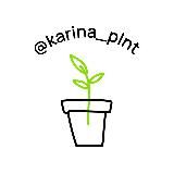 Plnt.ru товары от @karina_plnt