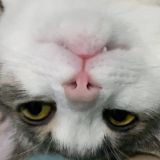 ЖивуЖизнь