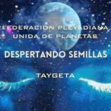 DESPERTANDO SEMILLAS