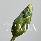 ТРАВА | доставка цветов