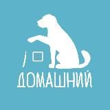 Приют "Домашний": "Выбери меня!"