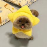 Team Stellar-Mew