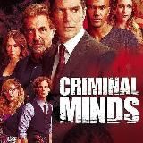 CRIMINAL MINDS ALL SEASONS 1 - 19 SERIES