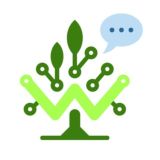 (Чат) Web3eco Плантации Павловнии