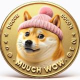 MEME COIN SIGNAL