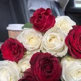 ❤🐻ℳℴℴ𝓃_𝒻𝓁𝒶𝓂ℯ 🐻❤