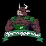 Краснодар новости 24