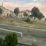 artemoska