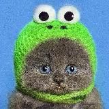 https://t.me/carting_chats