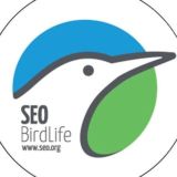 SEOBirdLife. Cursos en Madrid