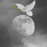 صدای دل