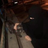 архив рам