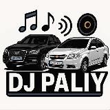 🔥Dj Paliy🔥