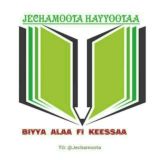 JECHOOTA HAYYOOTAA