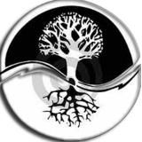 ⚛️ ZEMIUS центр трансперсональной психологии