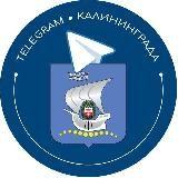 Телеграм Калининграда