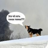 Пёсий лай