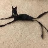 Unusual Post