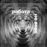 РОКЕТ ВОРК: о бизнесе с фрилансерами