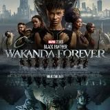 Black Panther Wakanda Forever