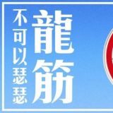上海伊蔓抓龙筋