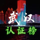 武汉出击榜（先锋）