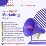 Website Development/Google ads/ #Facebook_Ads/Telegram_Ads/Software_Development/Artificial_Intelligence