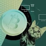 Crypto Box Binance | Криптобоксы