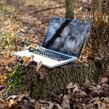 Kazarin.online