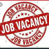 JOB VACANCY ETHIOPIA 🇪🇹