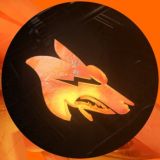 Team Coyotes