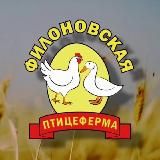 🐣Филоновская птицеферма🐥